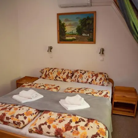 Hevizi Castrum Panzio 3* Hévíz