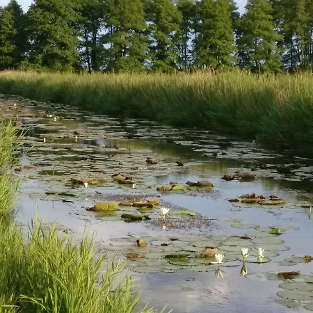 Bed and Breakfast Hevizi Castrum Panzio Hévíz