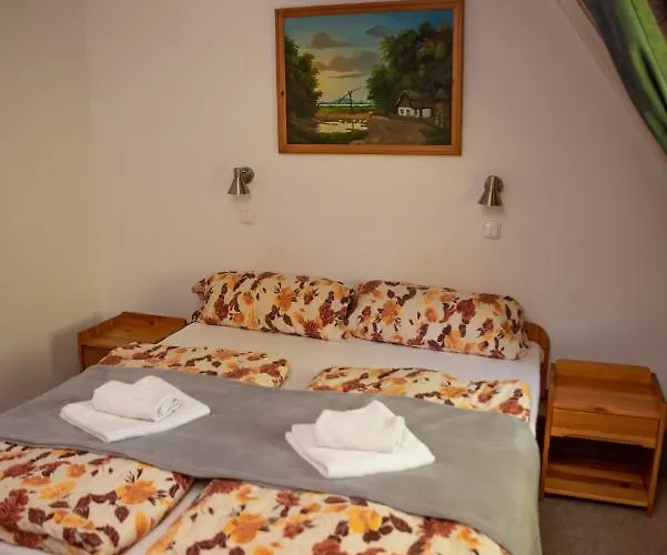 Hevizi Castrum Panzio 3* Hévíz