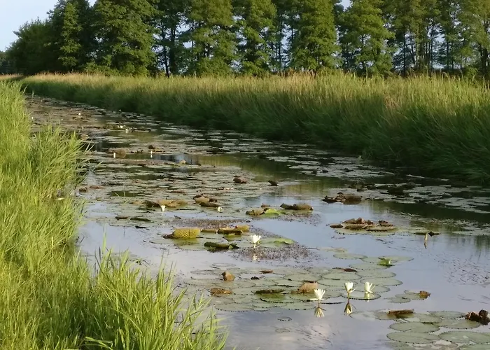 Oda ve Kahvaltı Hevizi Castrum Panzio Hévíz